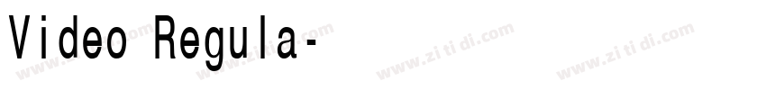 Video Regula字体转换